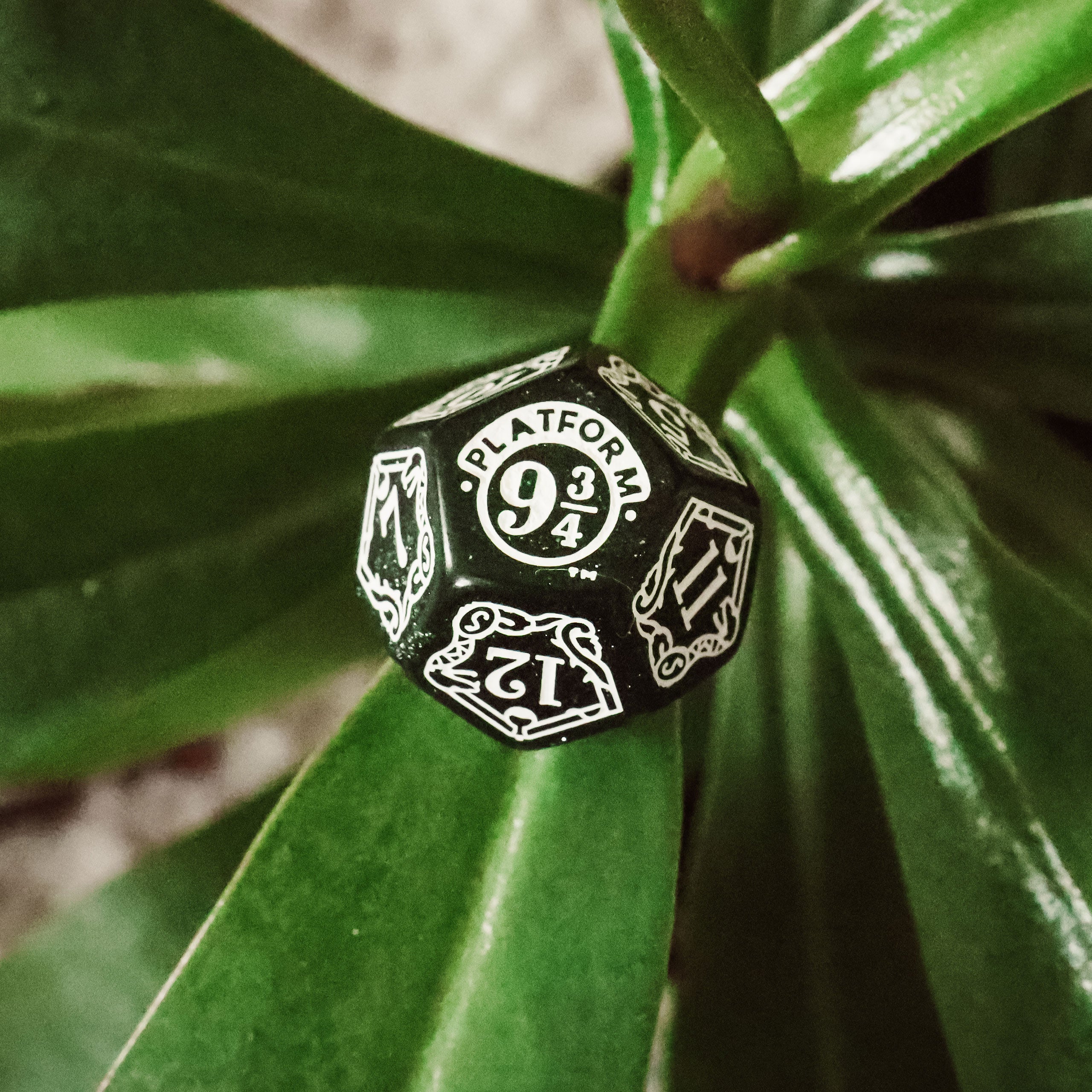 Immagine del prodotto Harry Potter - Set di dadi RPG Slytherin 7 pezzi verde