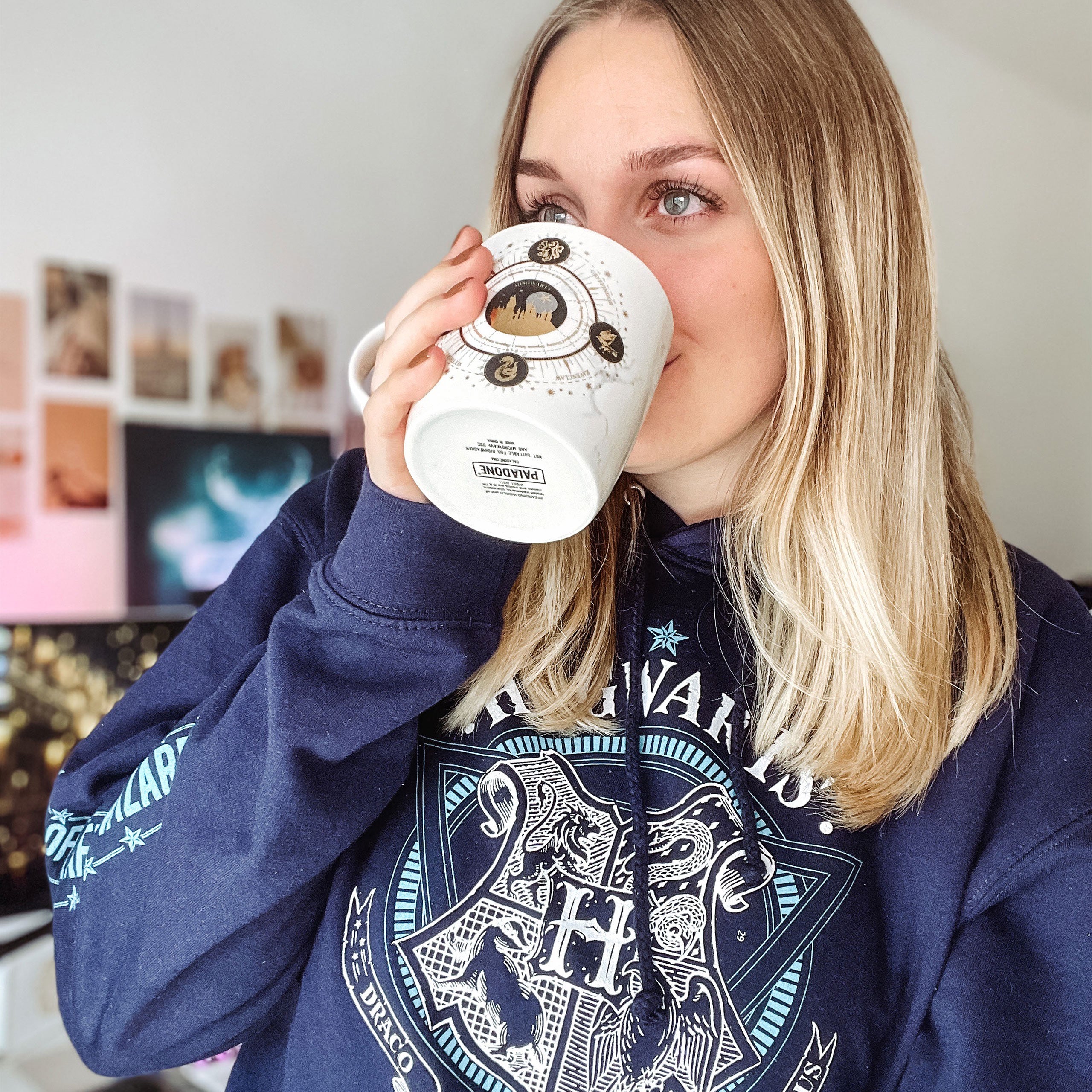 Immagine del prodotto Harry Potter - Felpa con cappuccio Hogwarts School of Witchcraft blu
