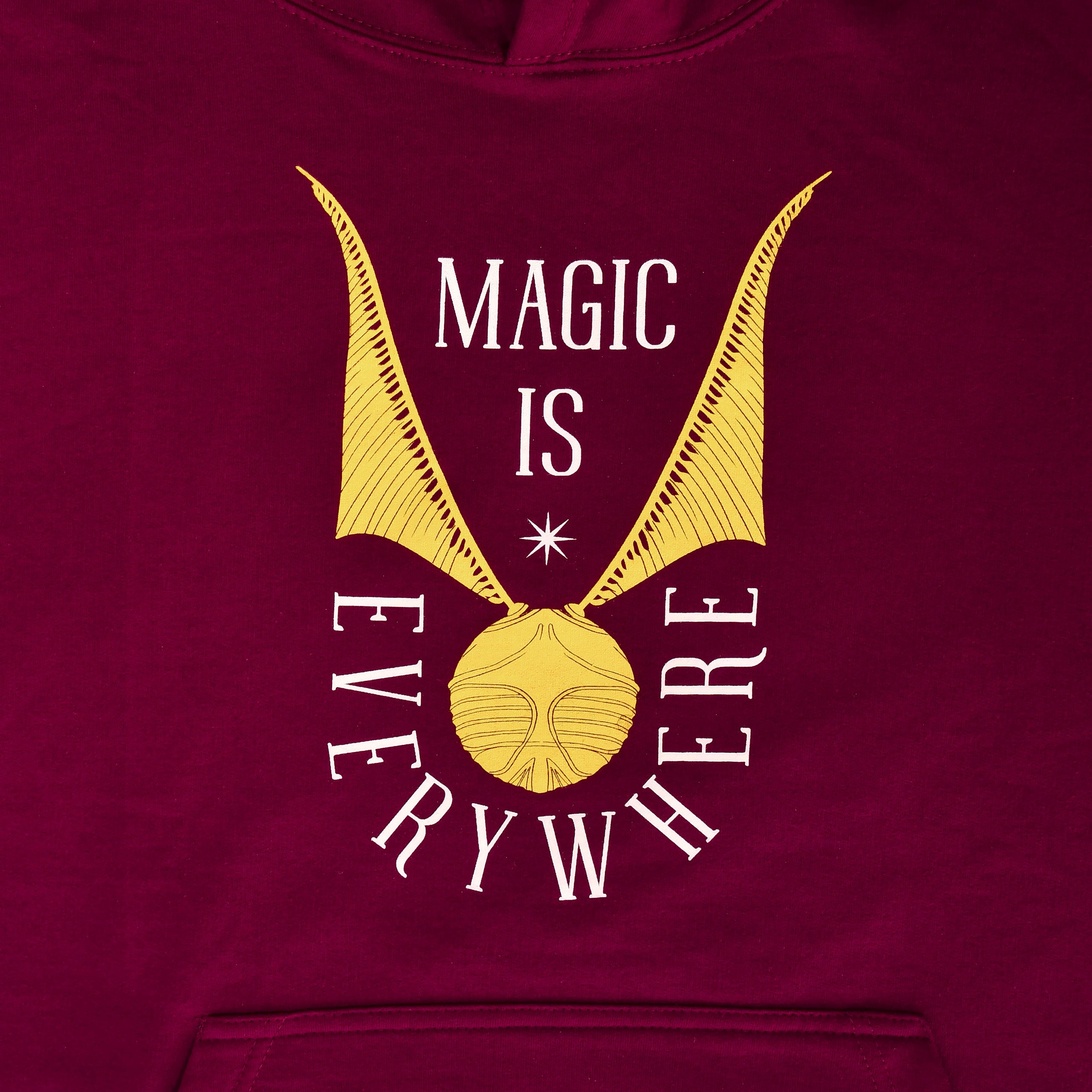 Immagine del prodotto Harry Potter - Felpa con cappuccio Boccino d'Oro rossa