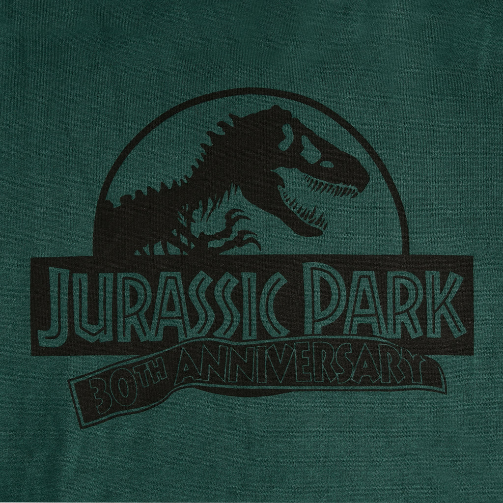 Immagine del prodotto Jurassic Park - Isla Nublar Hoodie verde