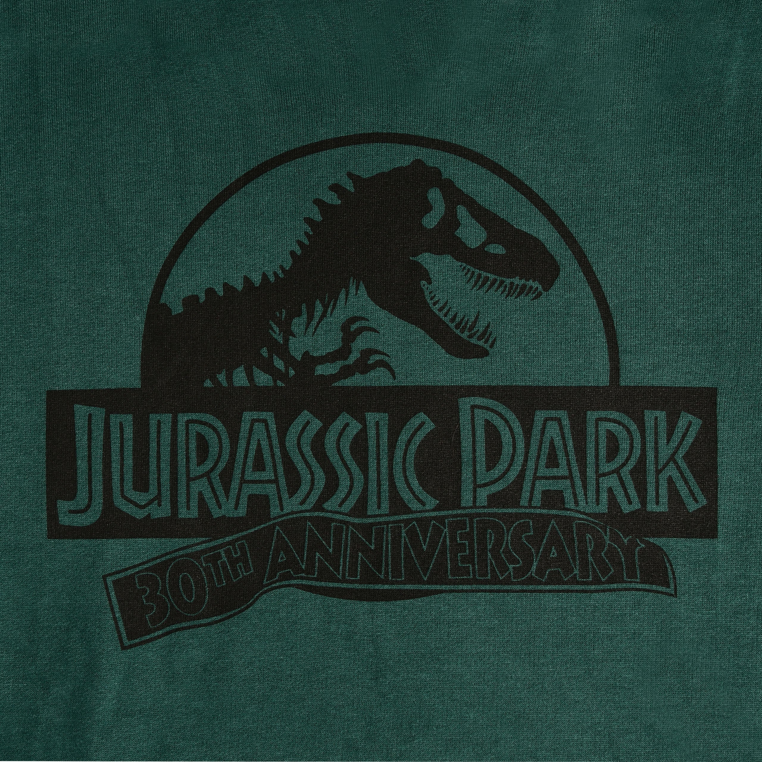 Immagine del prodotto Jurassic Park - Isla Nublar Hoodie verde