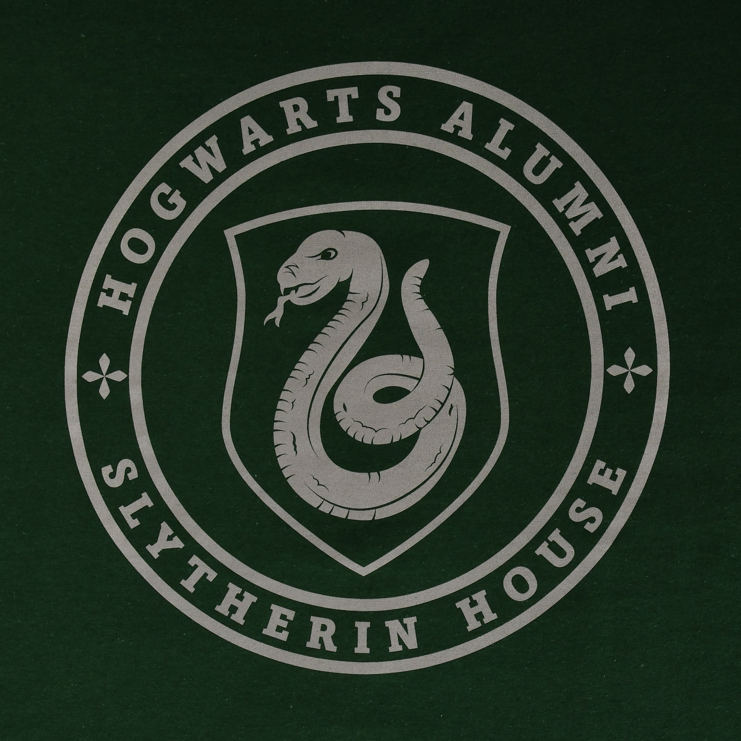 Immagine del prodotto Maglietta verde Slytherin Hogwarts Alumni - Harry Potter