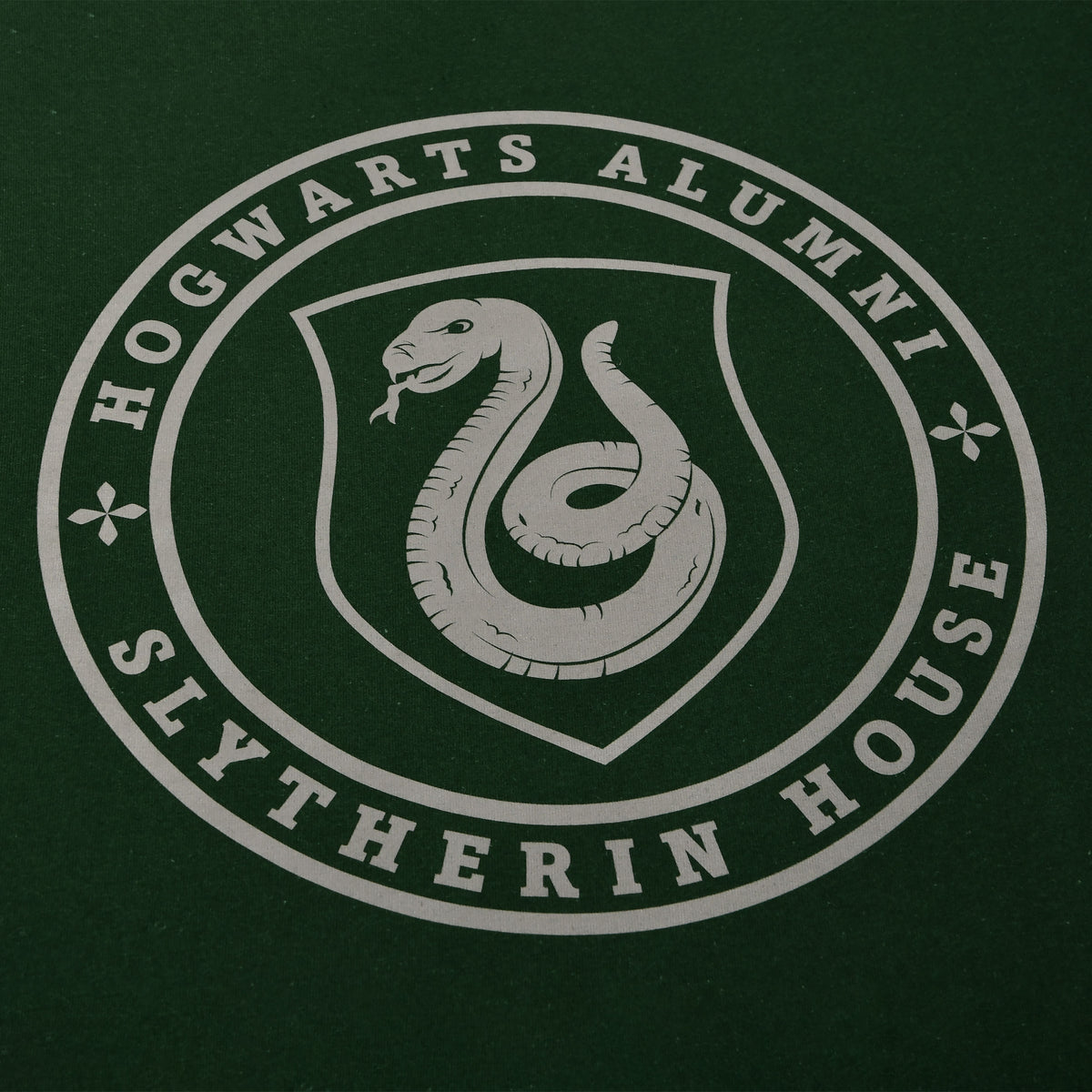 Immagine del prodotto Maglietta verde Slytherin Hogwarts Alumni - Harry Potter