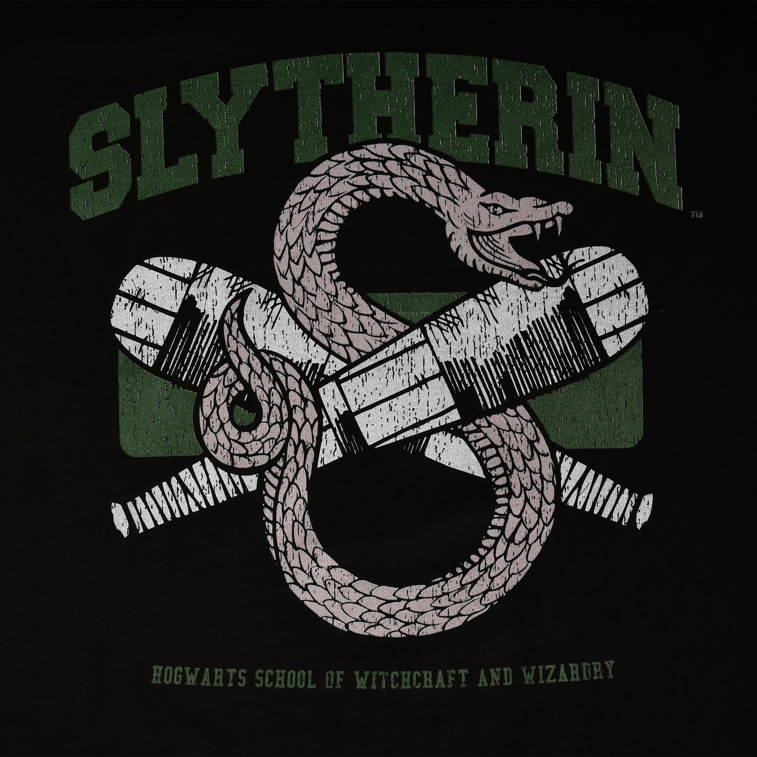 Immagine del prodotto T-shirt nera del college Quidditch di Slytherin - Harry Potter