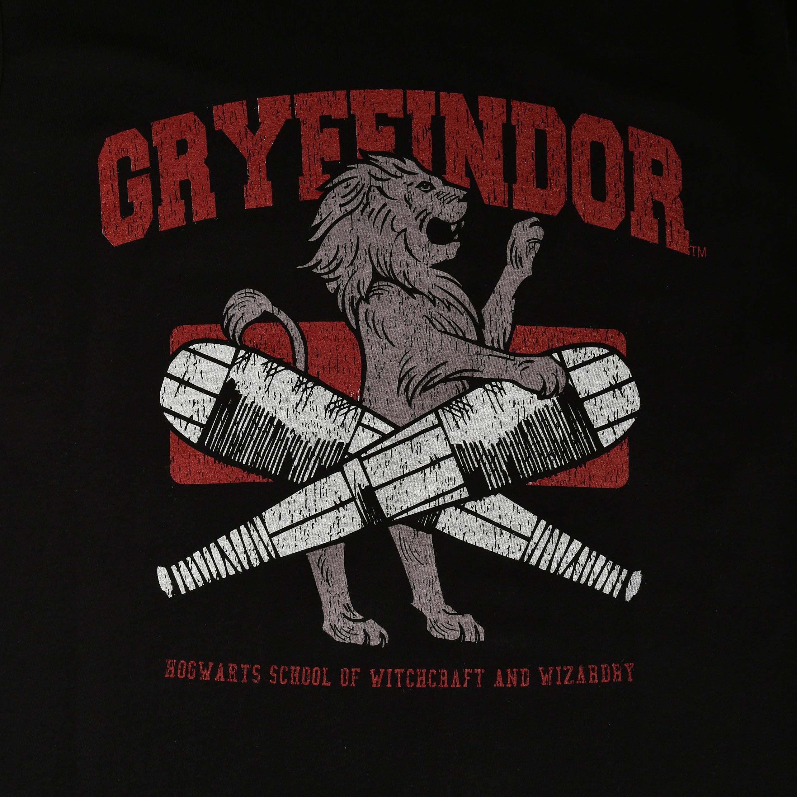 Immagine del prodotto T-shirt da college Quidditch di Gryffindor nera - Harry Potter