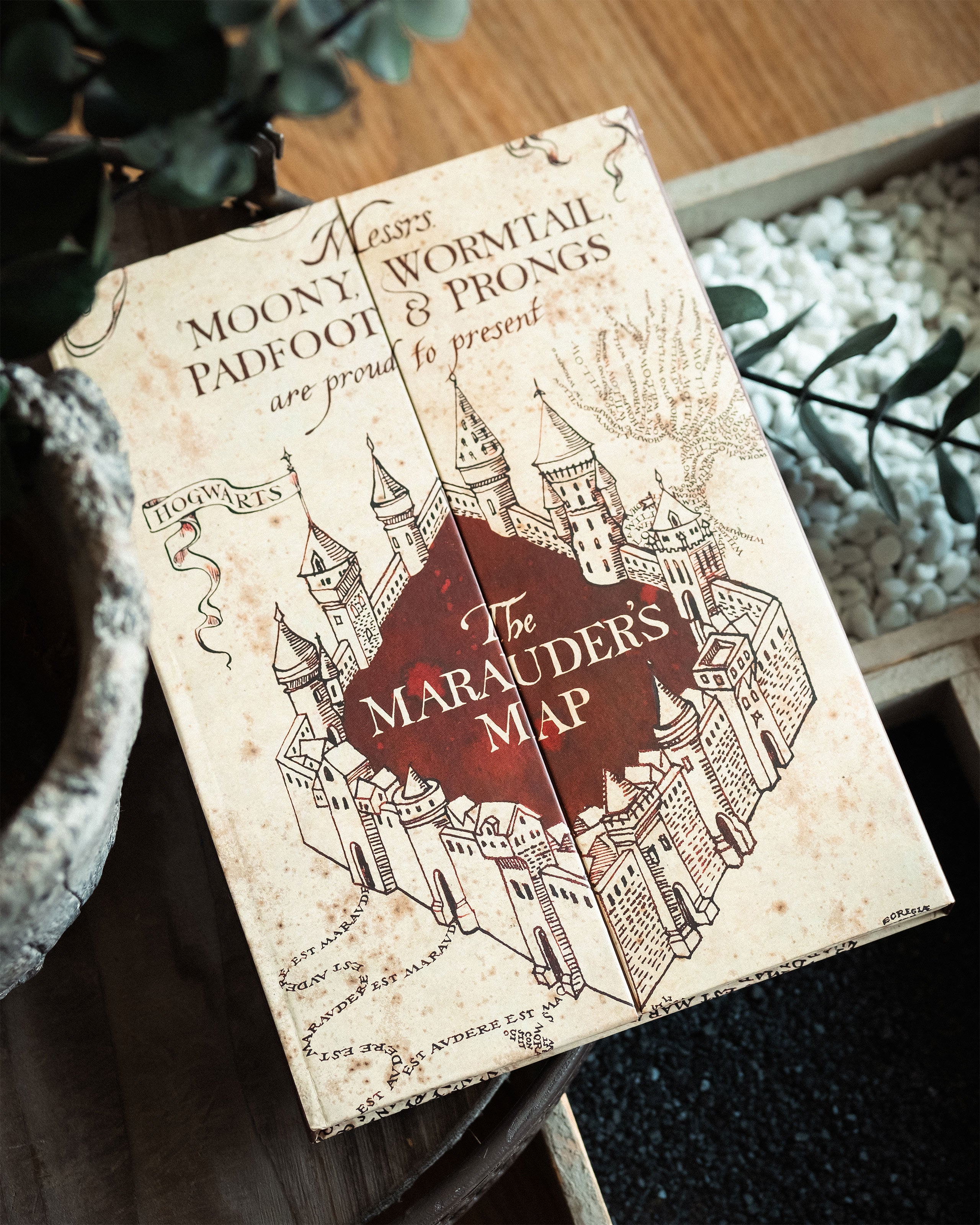 Immagine del prodotto Harry Potter - Taccuino Mappa del Malandrino A5