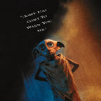 Immagine del prodotto Harry Potter - Maglietta nera con poster di Dobby