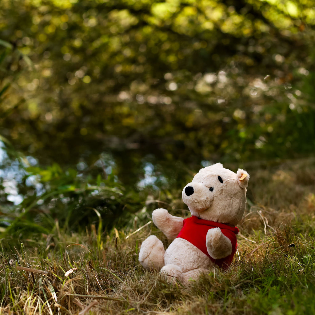 Immagine del prodotto Winnie Pooh - Figura da collezione di Steiff