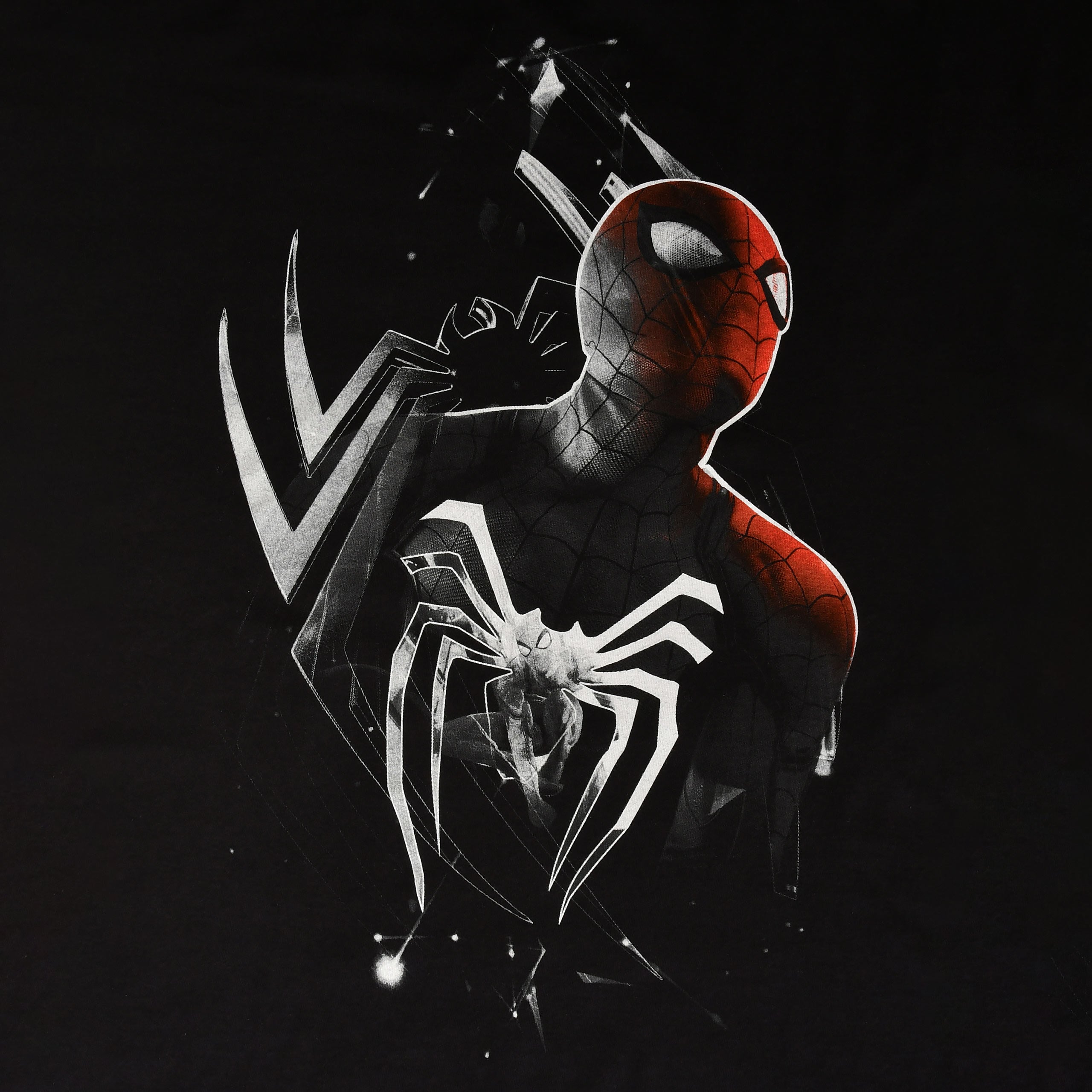 Immagine del prodotto Spider-Man - T-shirt Dimension nera