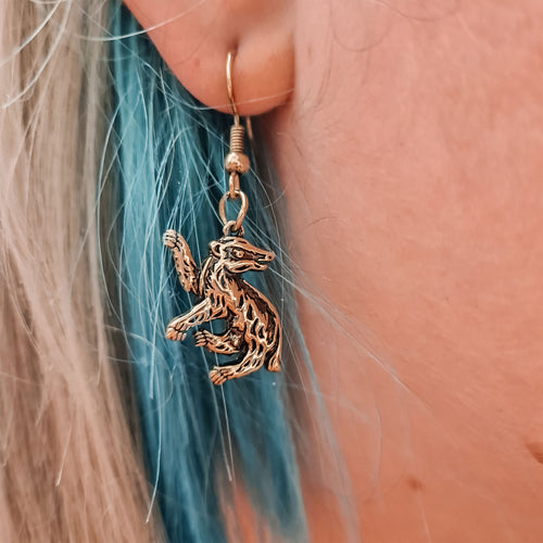 Immagine del prodotto Harry Potter - Set Orecchini Tassorosso