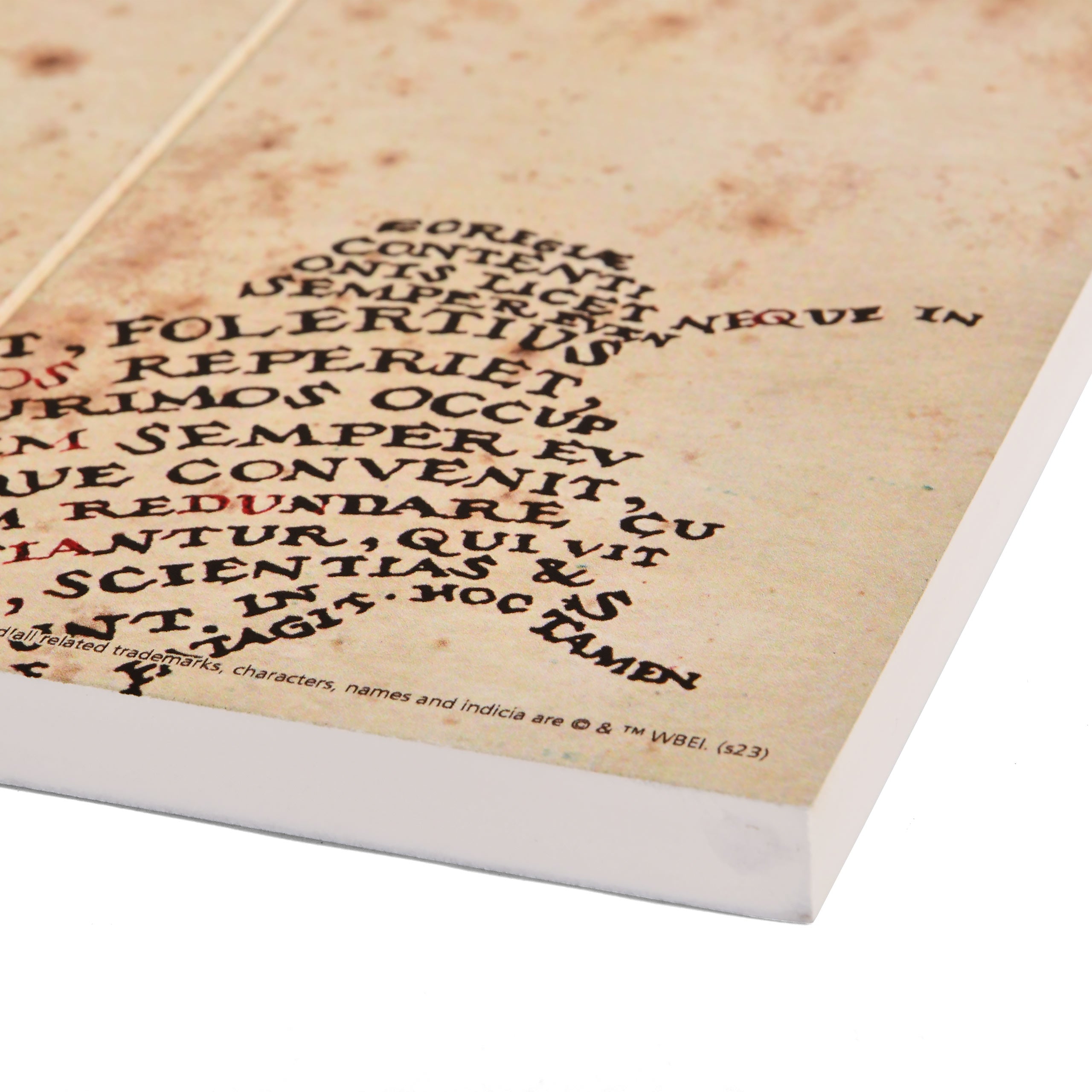 Immagine del prodotto Harry Potter - Mappa del Malandrino Quadro in Legno