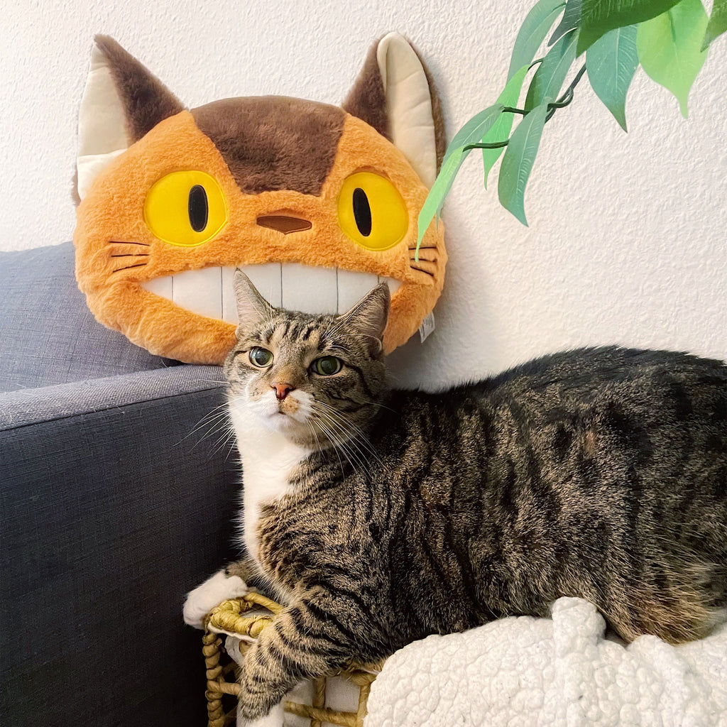 Immagine del prodotto Totoro - Cuscino di peluche Nakayoshi del gattobus