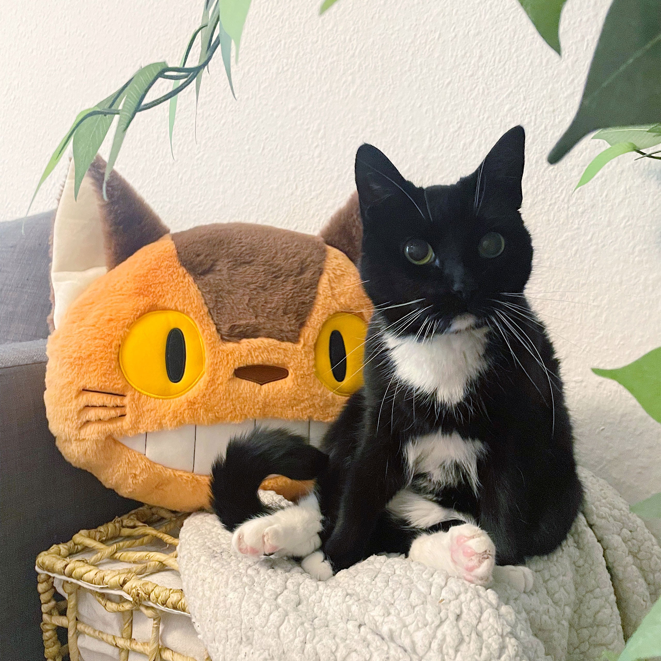 Immagine del prodotto Totoro - Cuscino di peluche Nakayoshi del gattobus