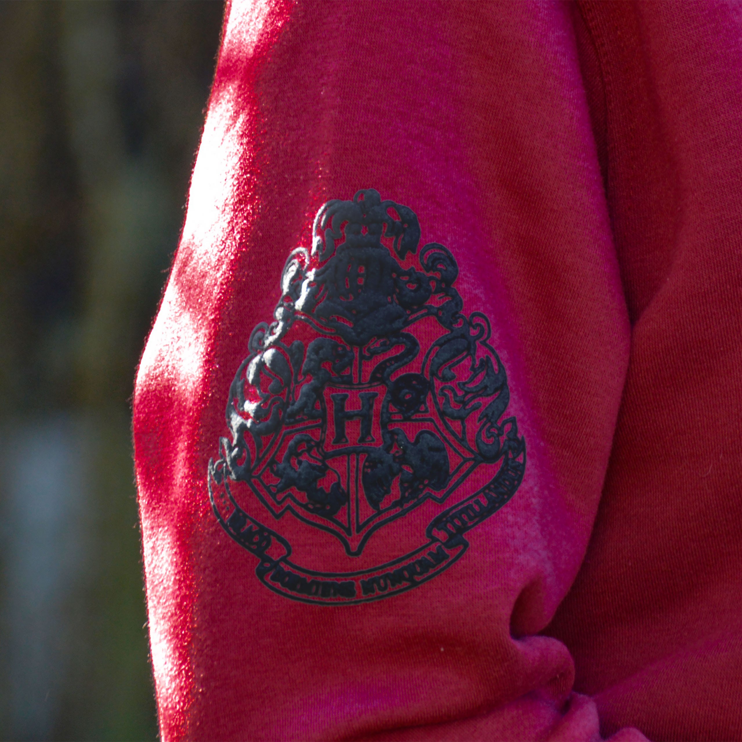 Immagine del prodotto Harry Potter - Binario 9 3/4 Felpa Premium