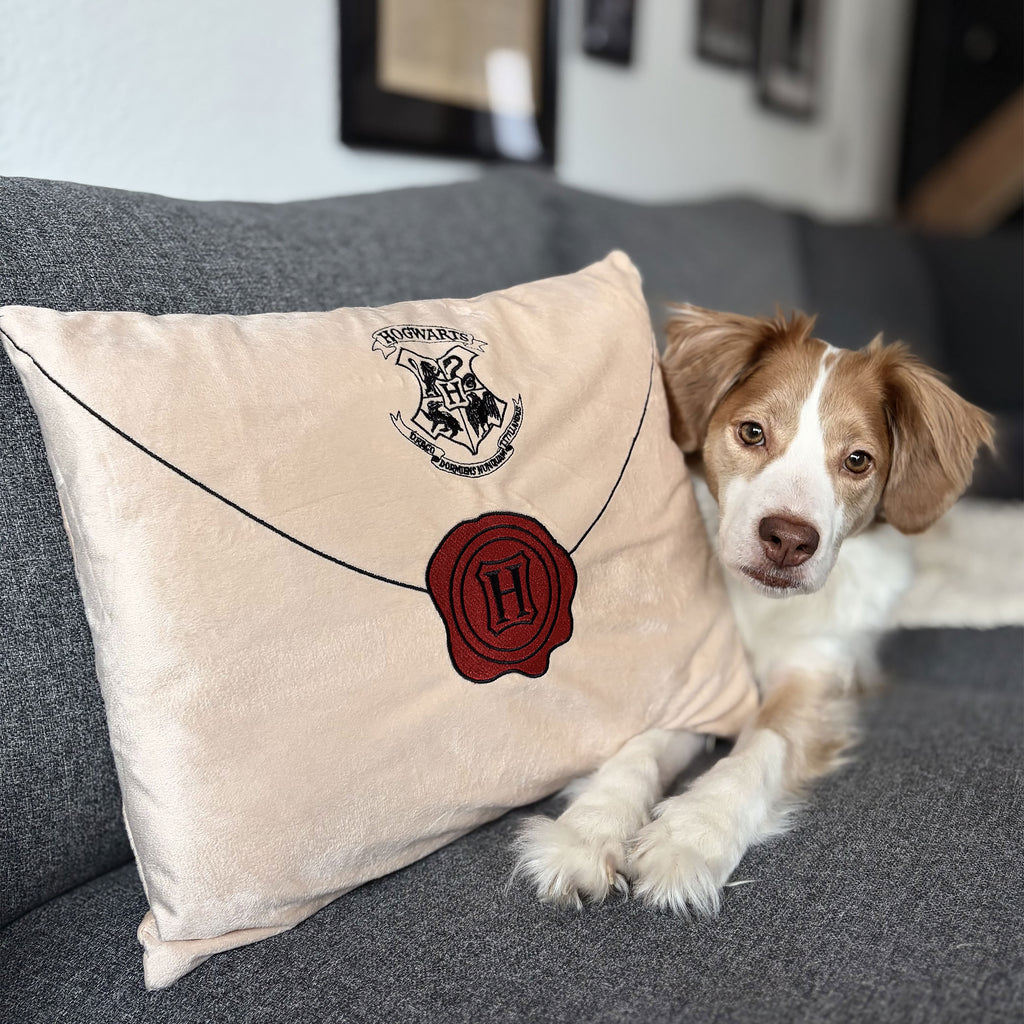 Immagine del prodotto Harry Potter - Cuscino Lettera di Hogwarts
