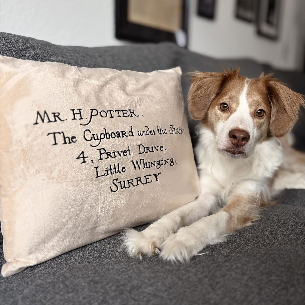 Immagine del prodotto Harry Potter - Cuscino Lettera di Hogwarts