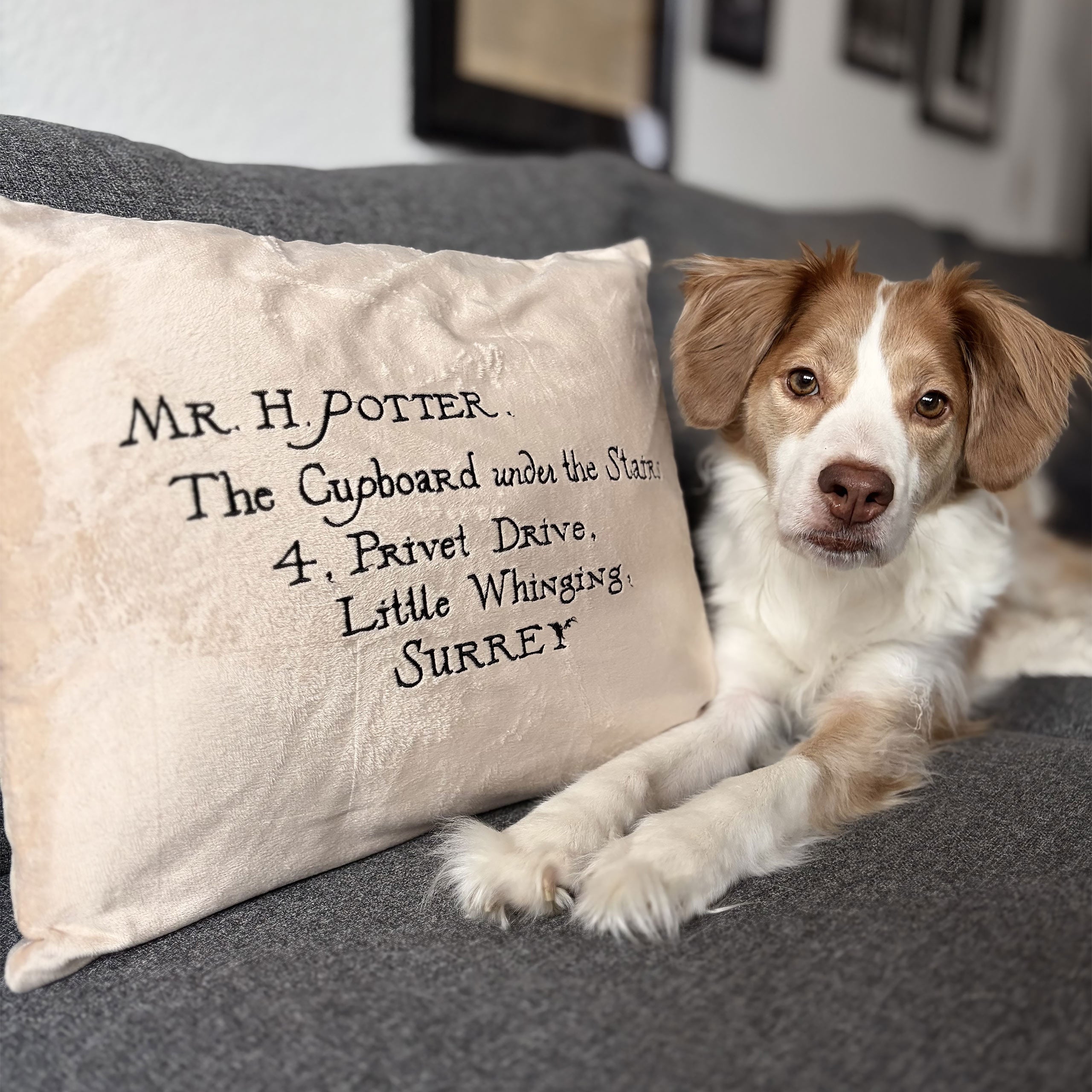 Immagine del prodotto Harry Potter - Cuscino Lettera di Hogwarts