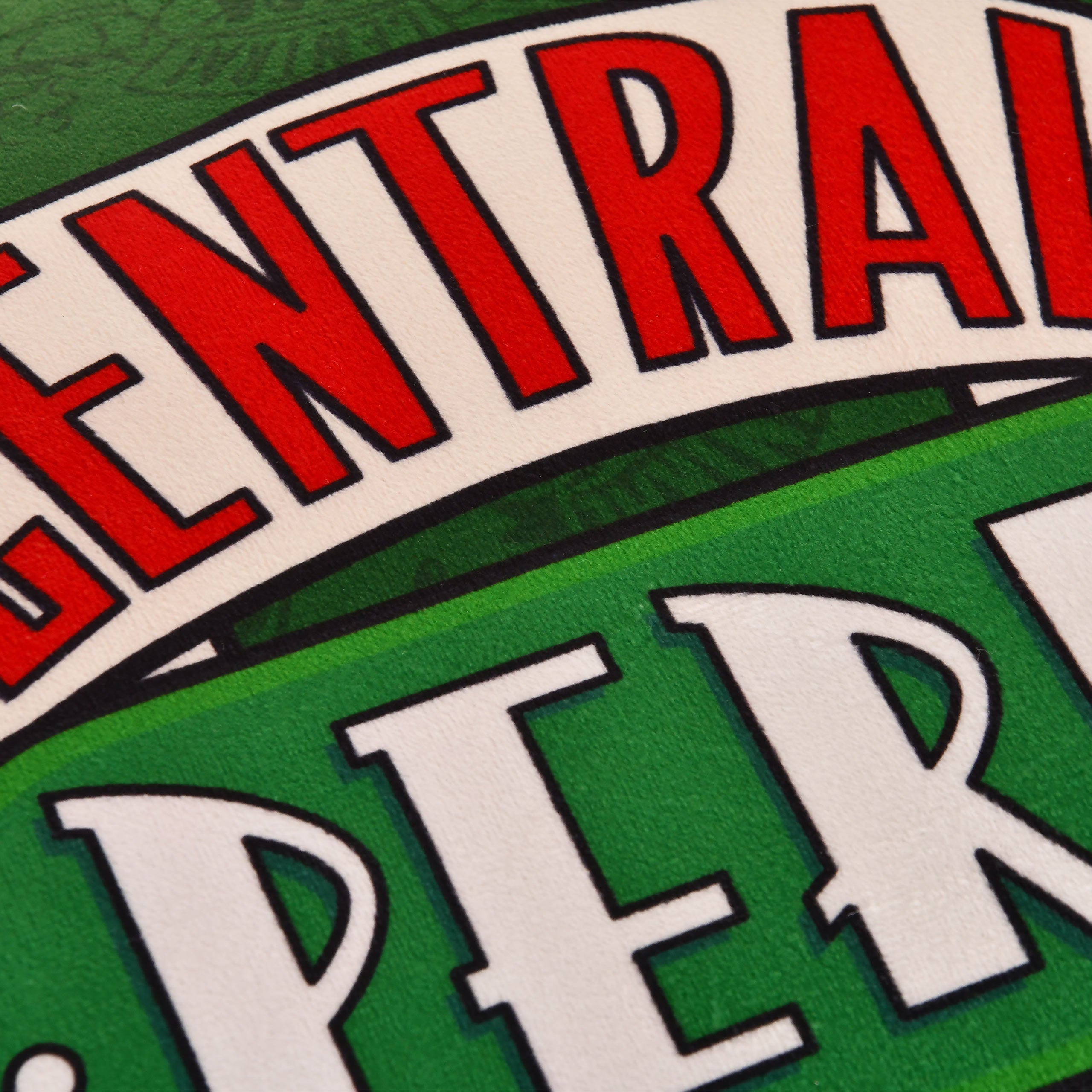 Immagine del prodotto Friends - Cuscino verde Central Perk