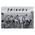 Immagine del prodotto Friends - Empire Building Maxi Poster