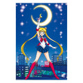 Immagine del prodotto Sailor Moon - Personaggi Poster Maxi