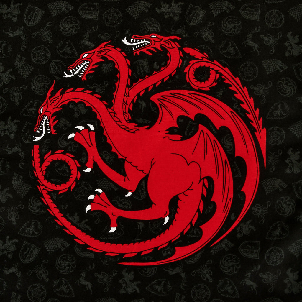 Immagine del prodotto Set di strofinacci Stark e Targaryen - Game of Thrones