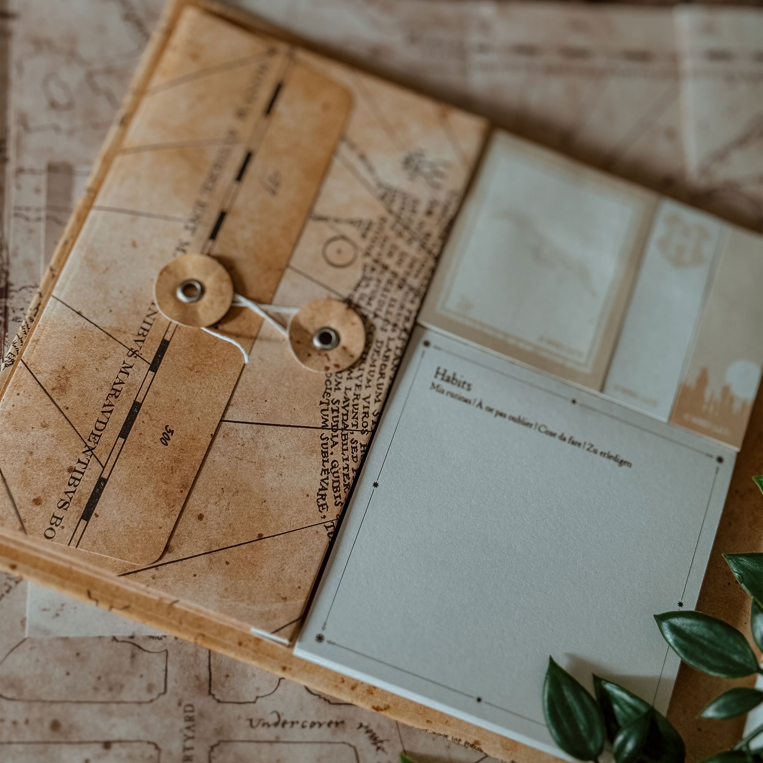 Immagine del prodotto Harry Potter - Mappa del Malandrino Libro agenda settimanale