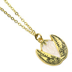 Immagine del prodotto Harry Potter - La Scatola Regalo Uovo d'Oro con Collana