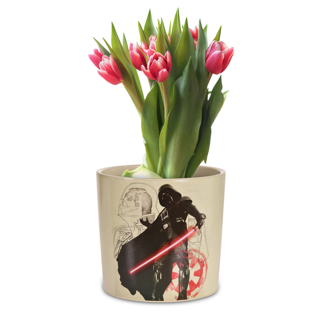Immagine del prodotto Star Wars - Vaso per fiori Darth Vader