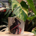 Immagine del prodotto Star Wars - Vaso per fiori Darth Vader