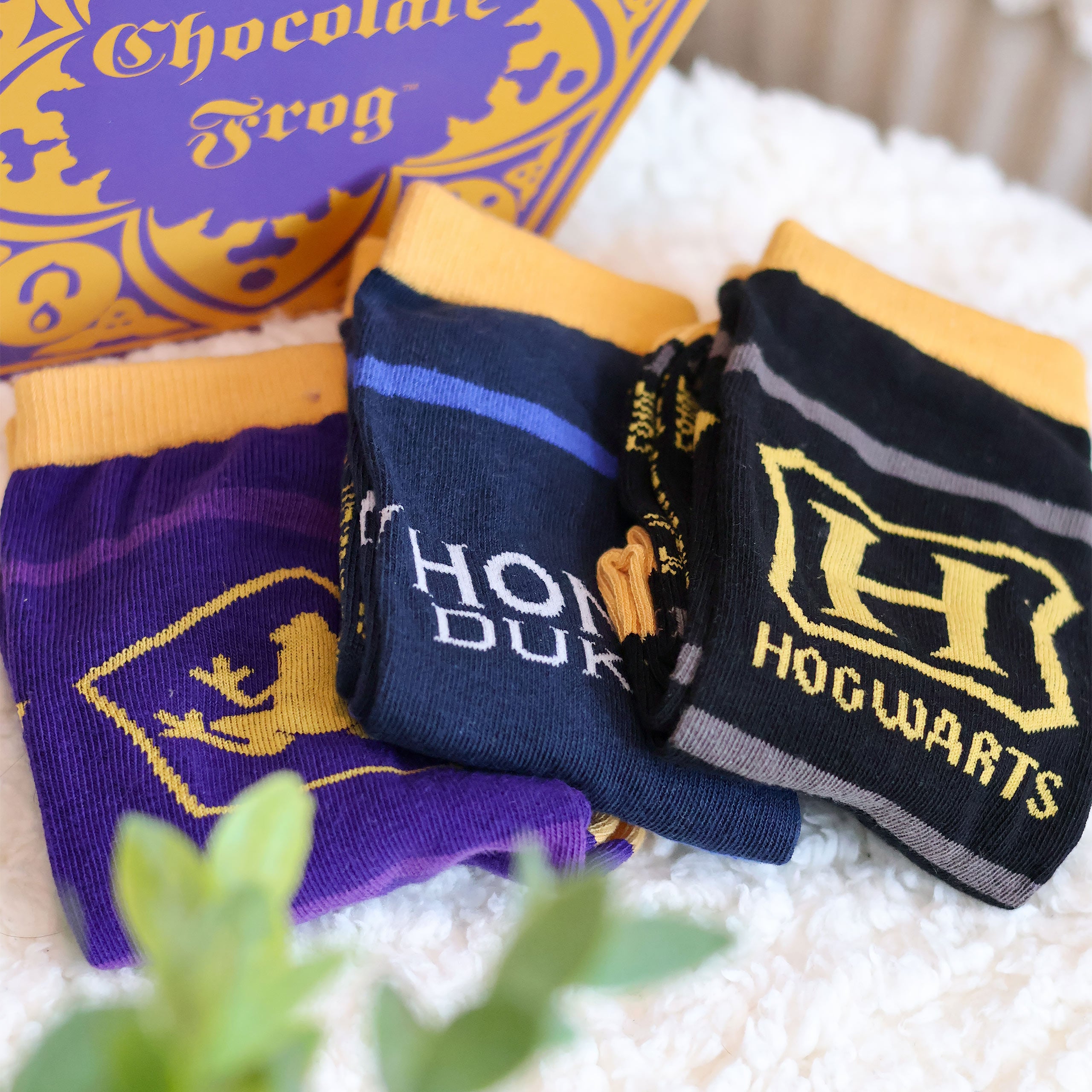 Immagine del prodotto Harry Potter - Set di 3 paia di calzini in scatola Rana di Cioccolato