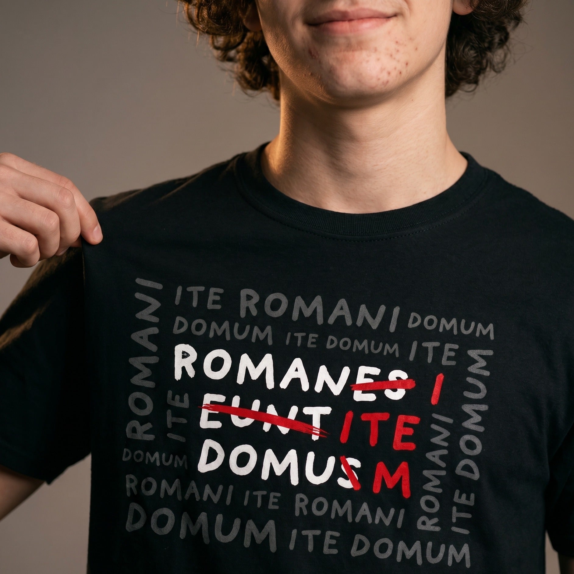 Immagine del prodotto T-shirt Romani Ite Domum per i fan di Monty Python