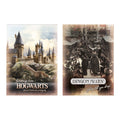 Immagine del prodotto Harry Potter - Hogwarts & Diagon Alley Poster Set di 2