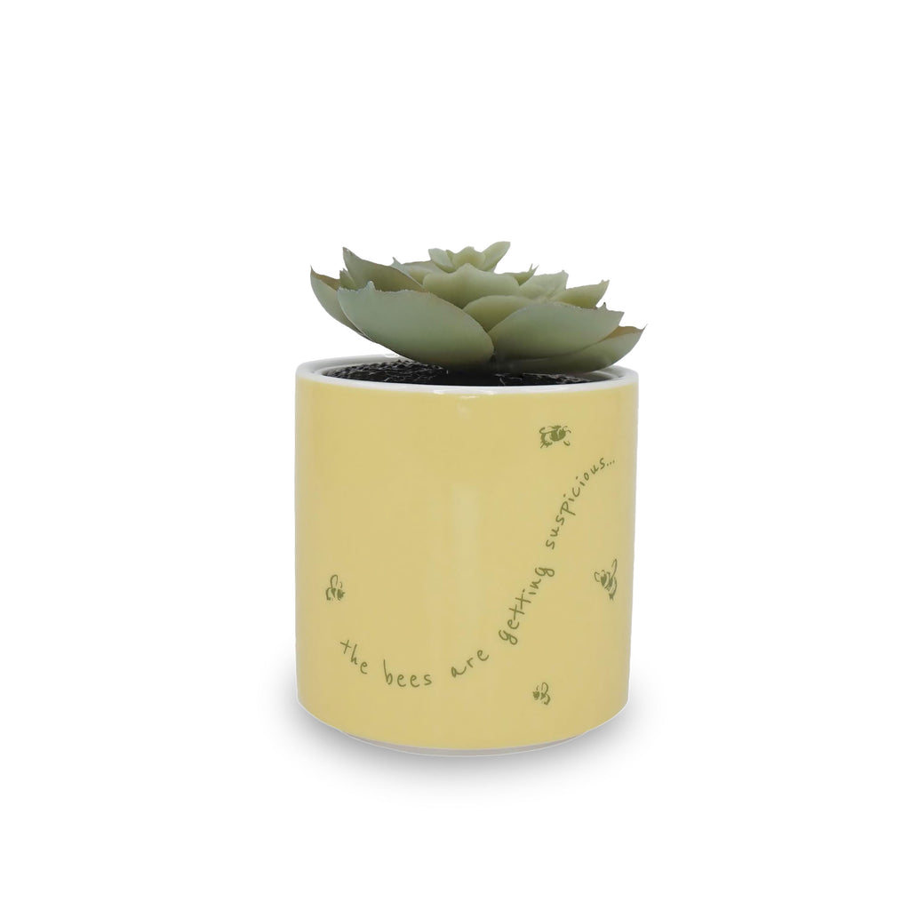 Product image Winnie the Pooh - Mini Flower Pot