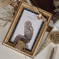 Immagine del prodotto Harry Potter - Cornice fotografica di Hedwig