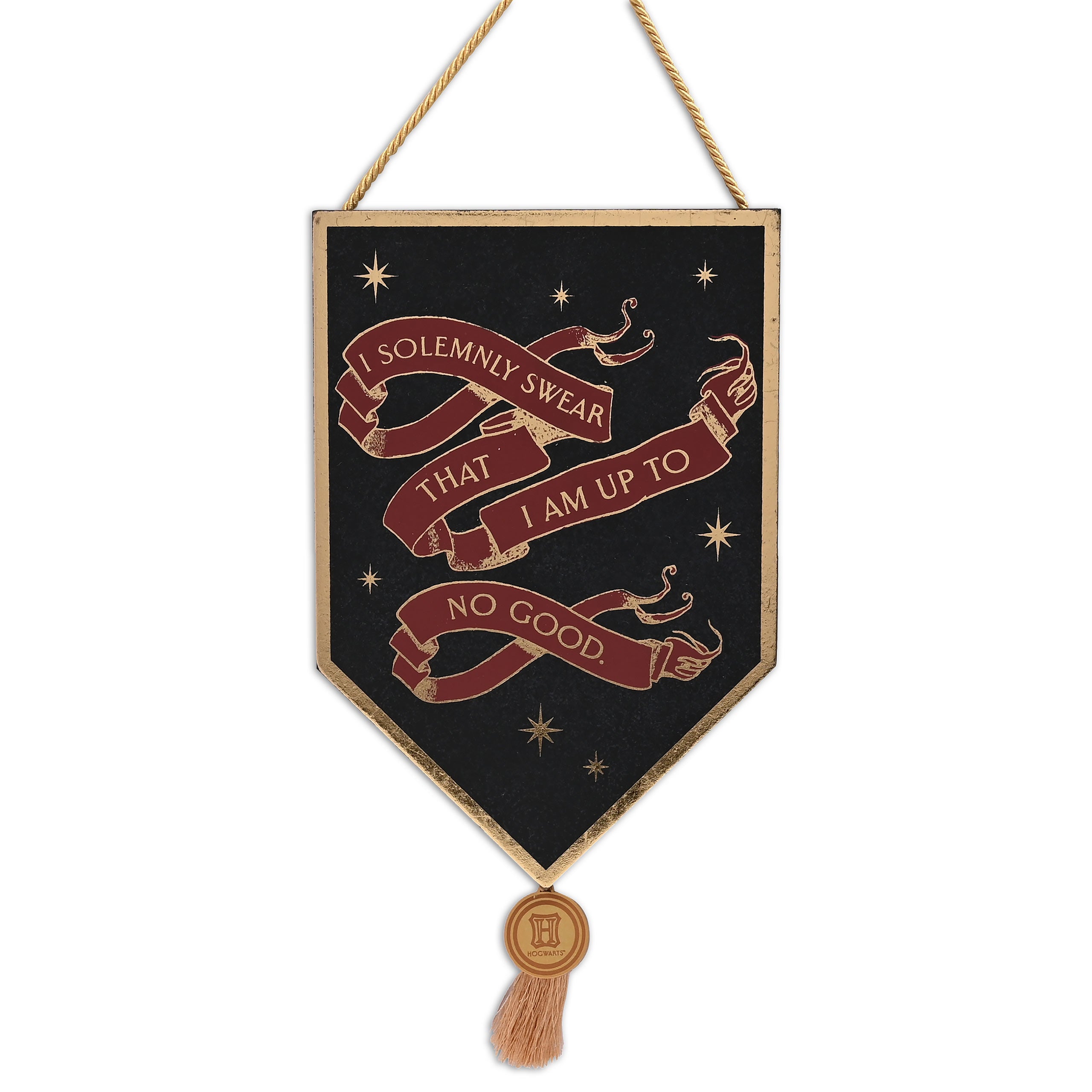 Immagine del prodotto Harry Potter - Targa in Legno Alumni 'I Solemnly Swear'