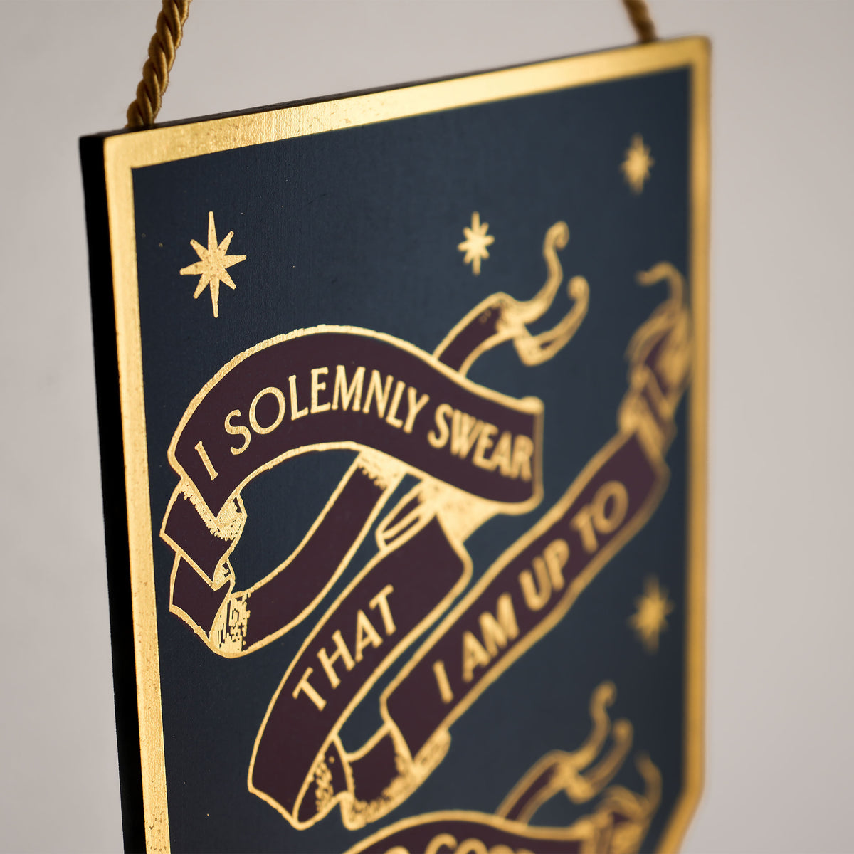 Immagine del prodotto Harry Potter - Targa in Legno Alumni 'I Solemnly Swear'