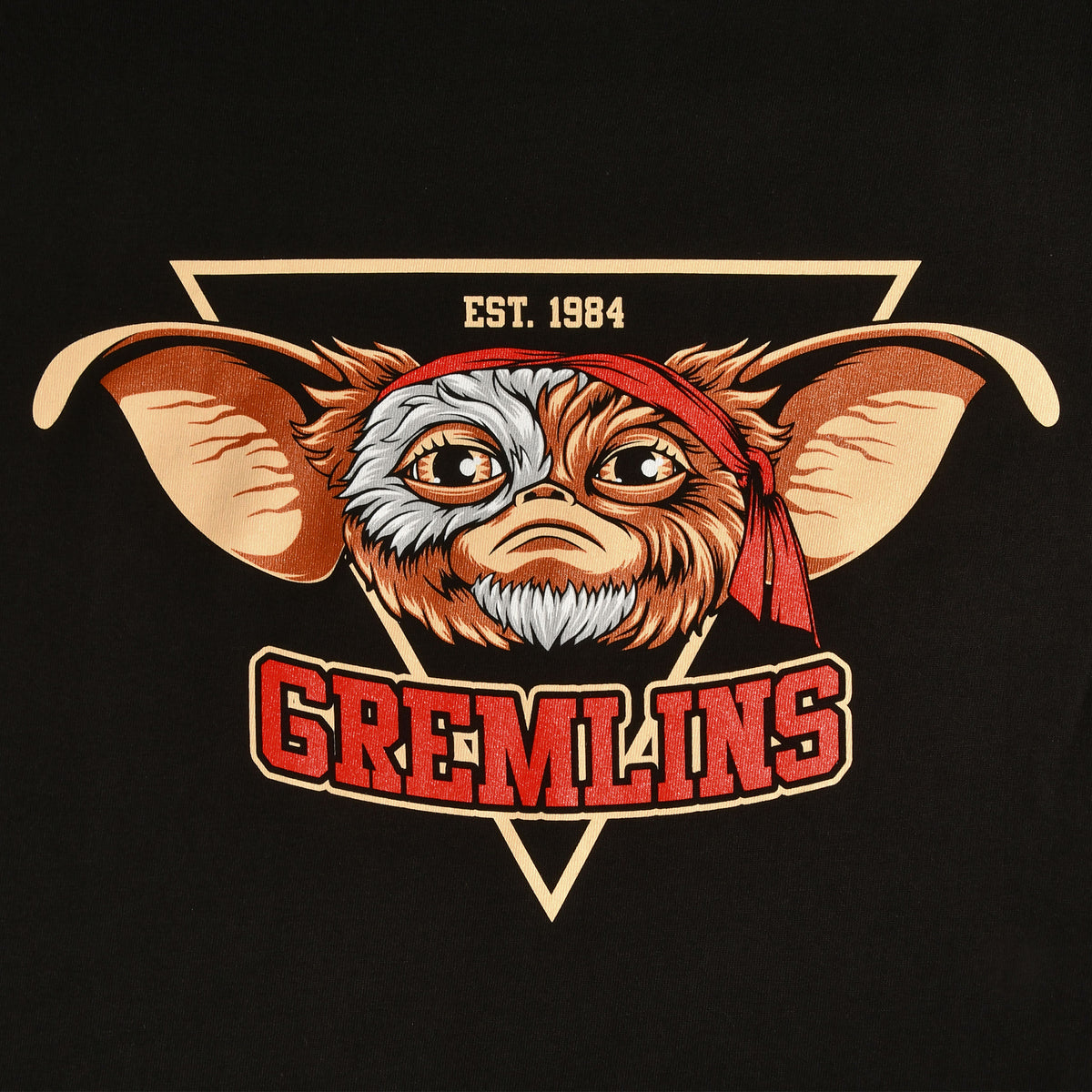 Immagine del prodotto Maglietta nera Gremlins Est. 1984