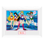 Immagine del prodotto Sailor Moon - Quadro di Gruppo