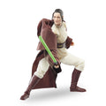 Immagine del prodotto Star Wars: The Acolyte - Jedi Master Indara Figura d'azione della serie Black