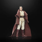 Immagine del prodotto Star Wars: The Acolyte - Jedi Master Indara Figura d'azione della serie Black