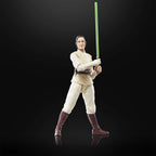 Immagine del prodotto Star Wars: The Acolyte - Jedi Master Indara Figura d'azione della serie Black