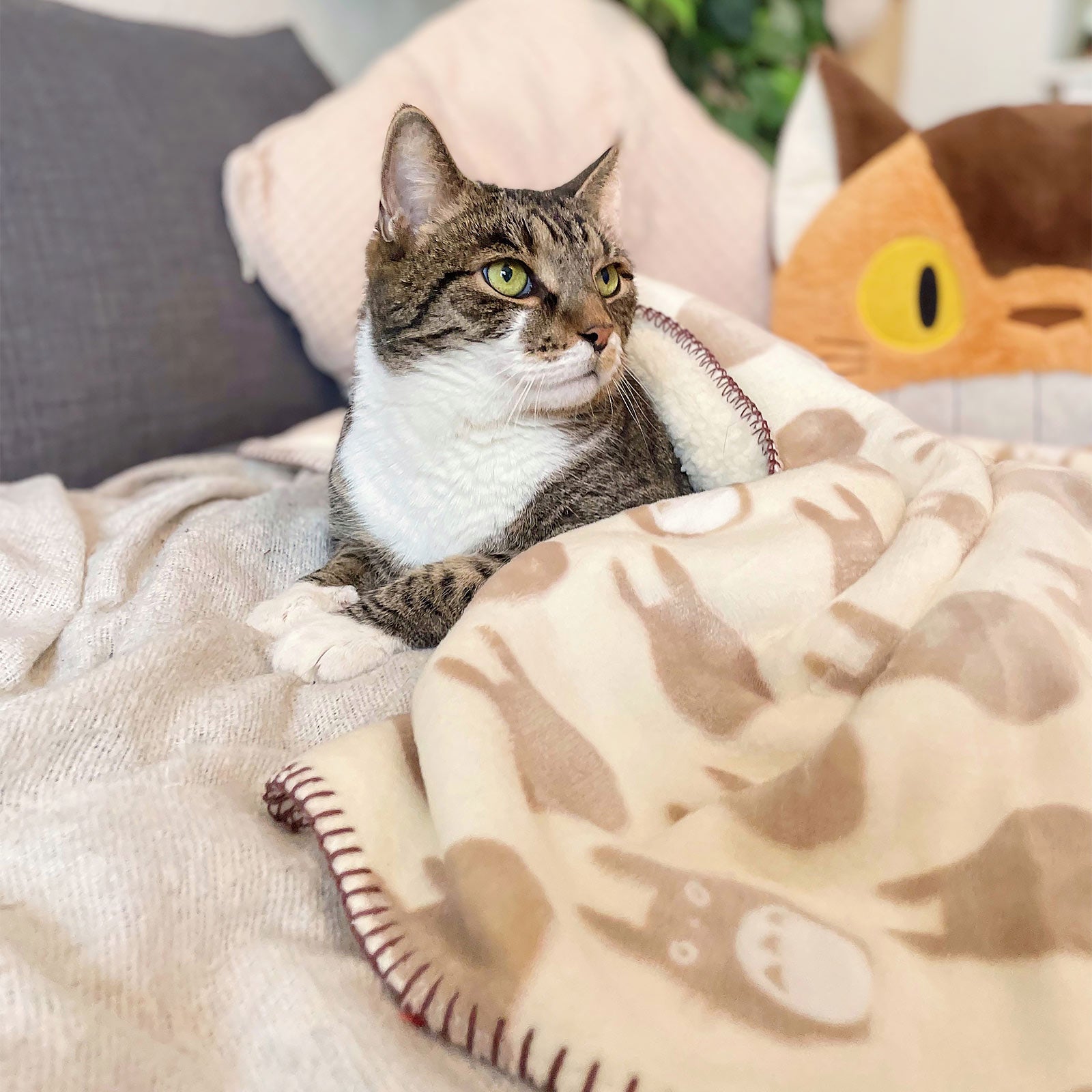 Immagine del prodotto Totoro - Coperta in pile silhouette con interno teddy