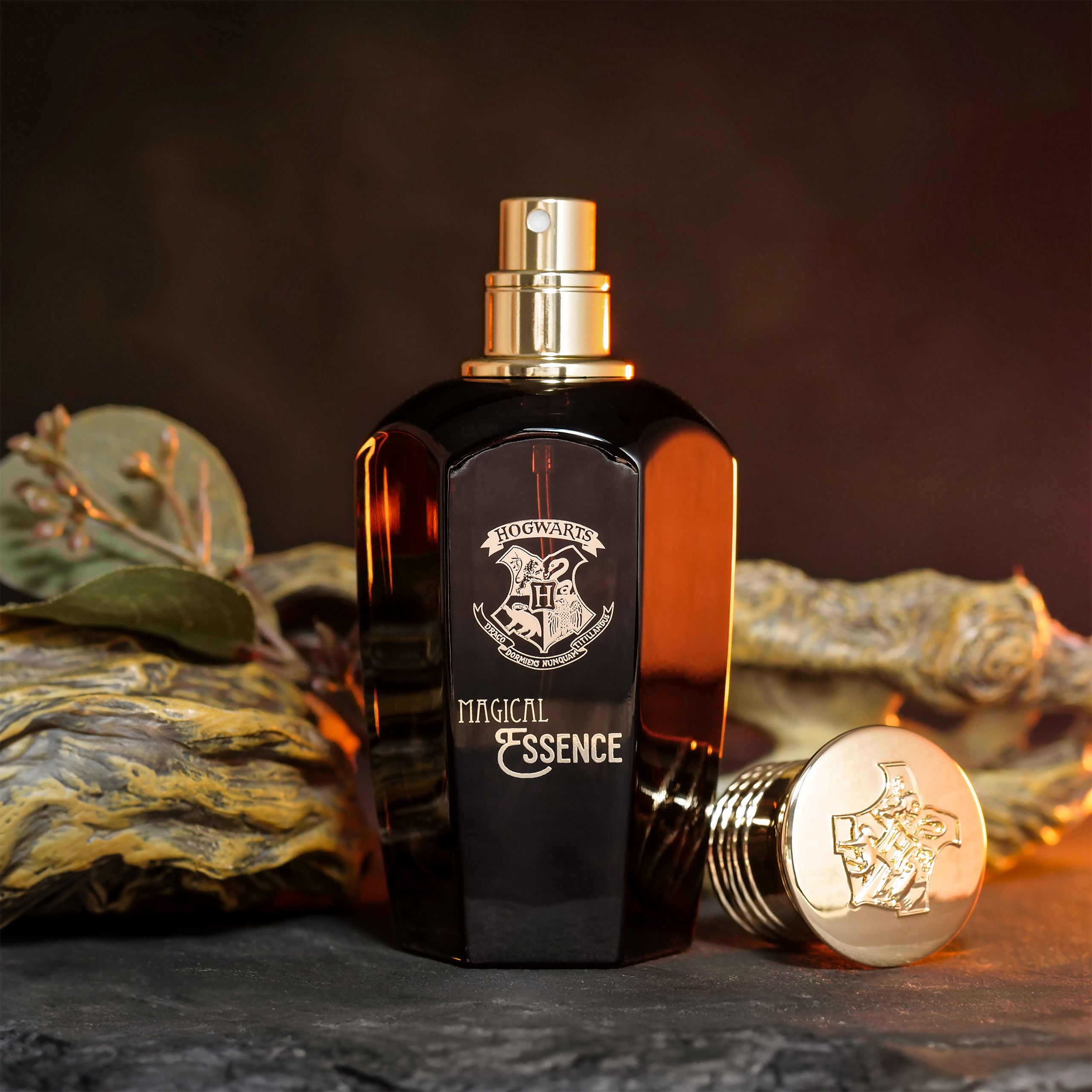 Immagine del prodotto Harry Potter - Magical Essence Ambiton Eau de Parfum