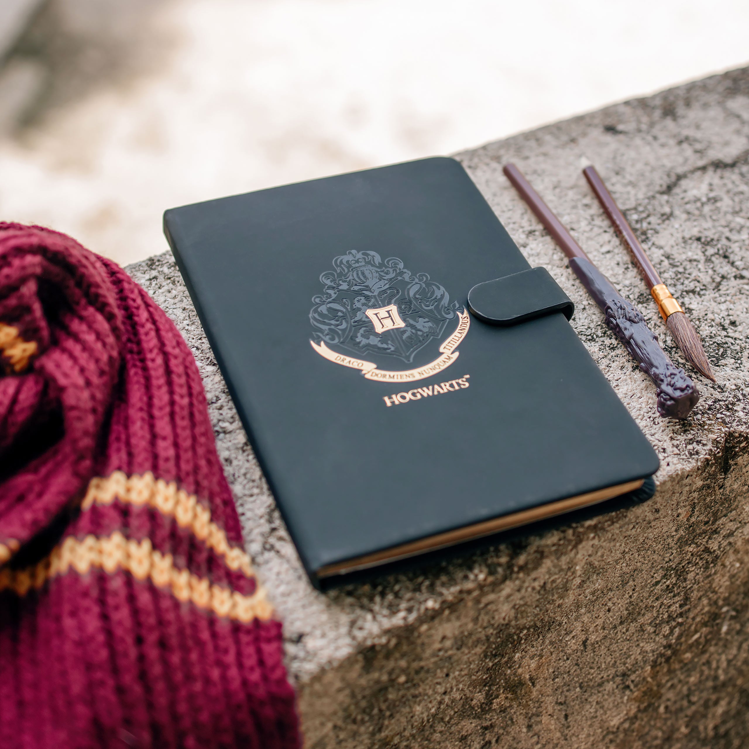 Product image Harry Potter - Hogwarts Crest Diary Set