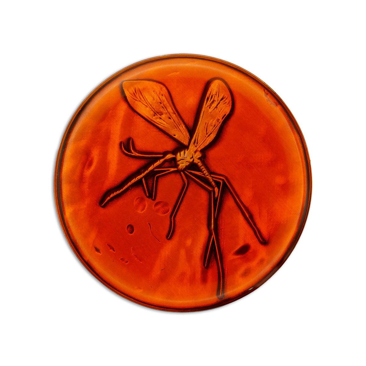 Immagine del prodotto Jurassic Park - Scatola regalo Medaglione e Pin edizione limitata
