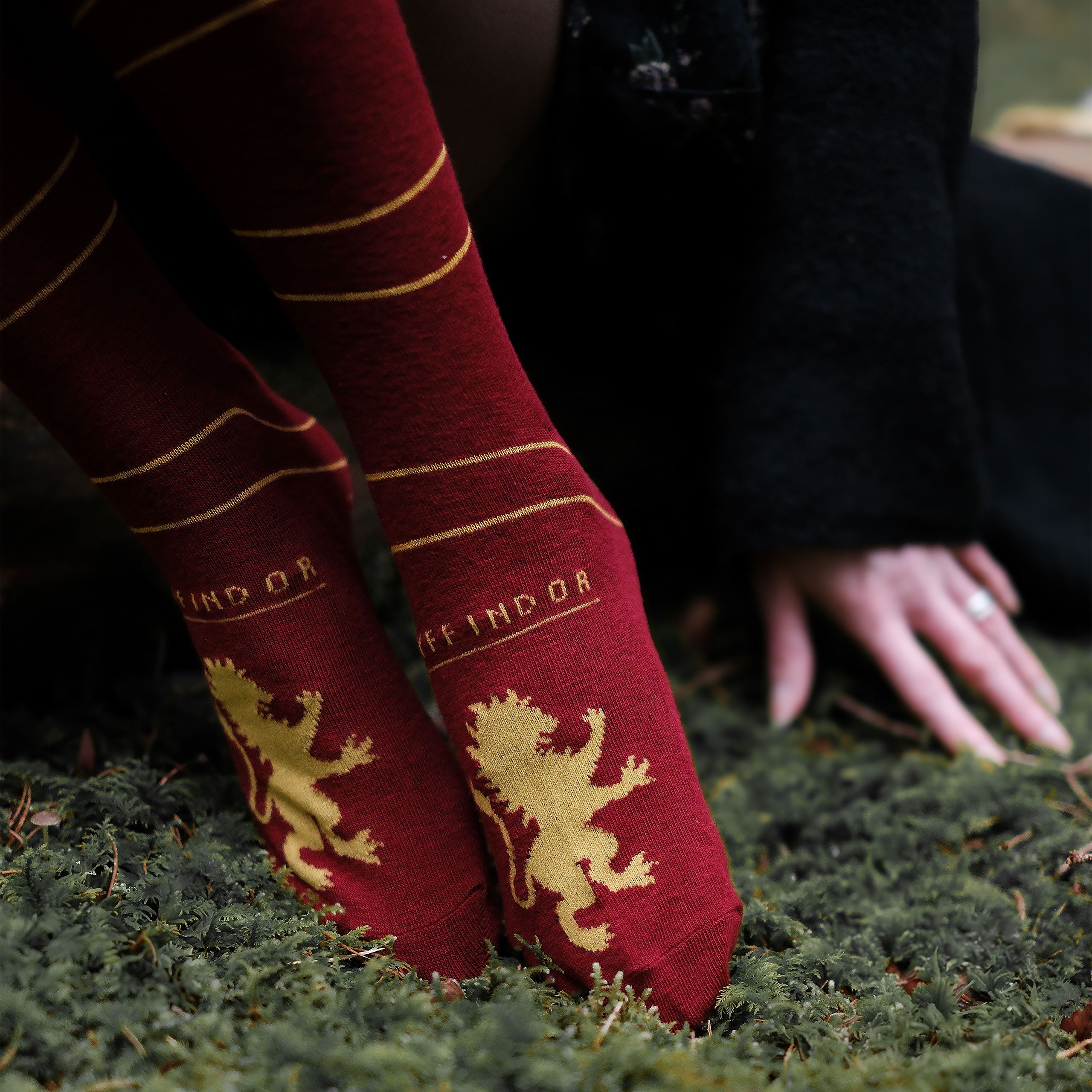 Immagine del prodotto Harry Potter - Calze sopra il ginocchio Grifondoro (set da 2)