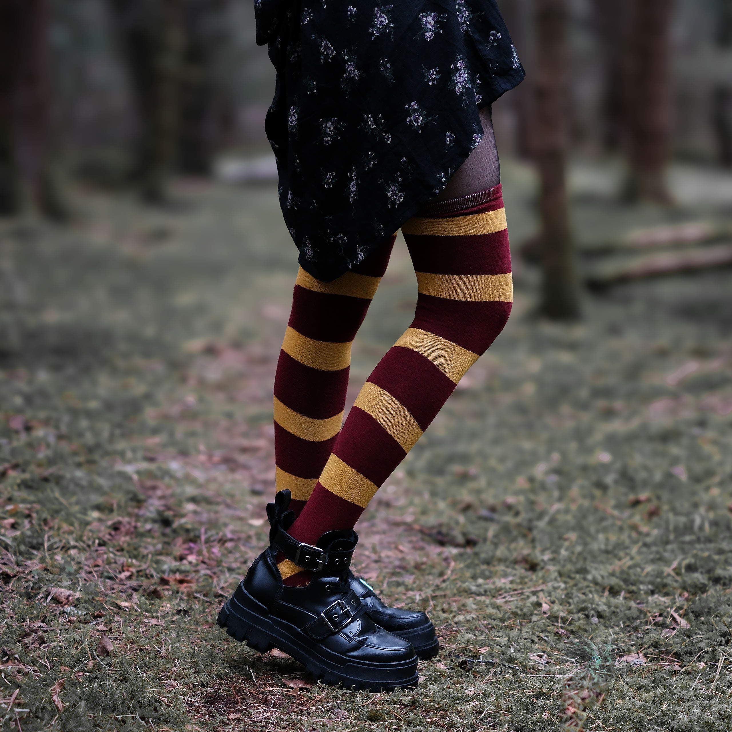 Immagine del prodotto Harry Potter - Calze sopra il ginocchio Grifondoro (set da 2)
