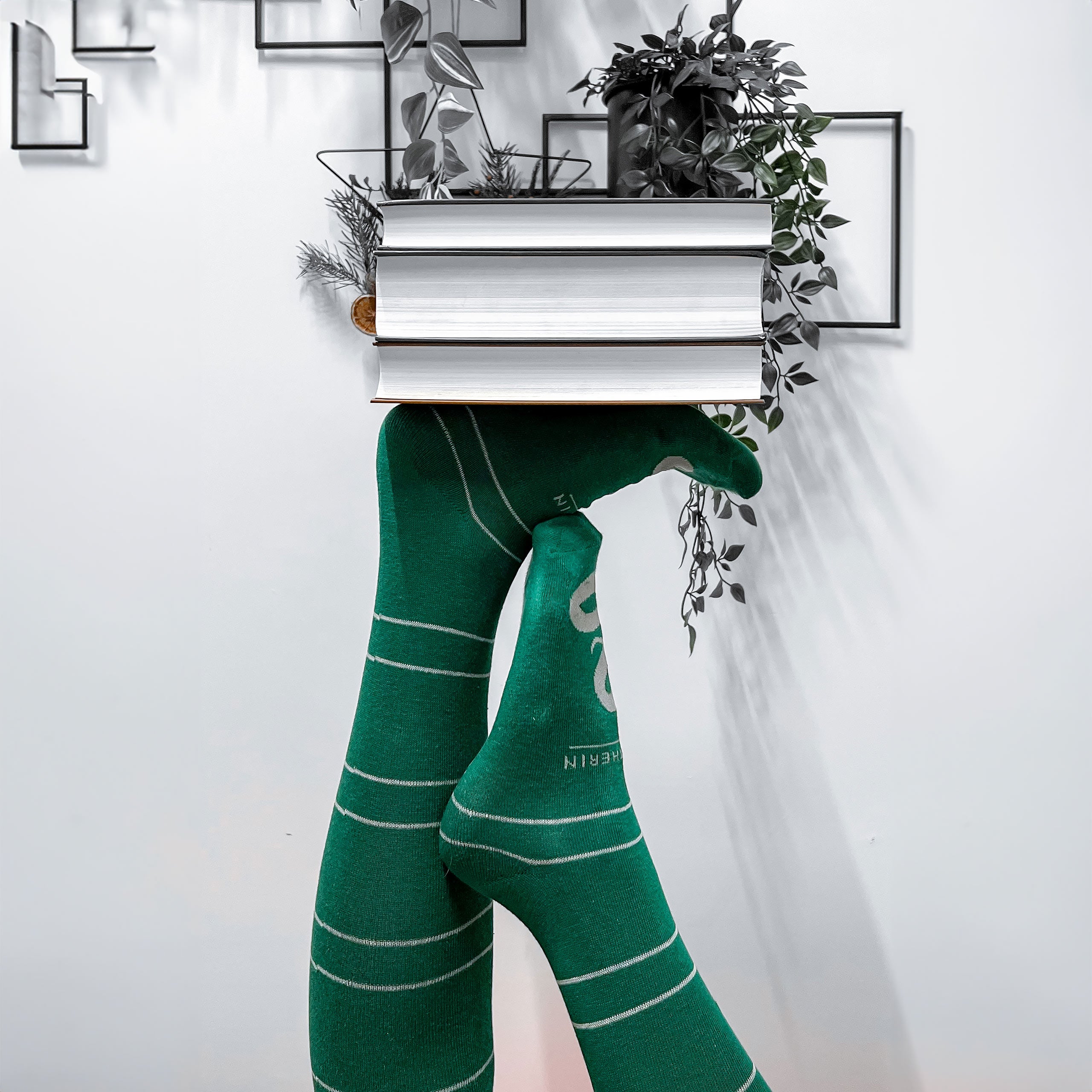 Immagine del prodotto Harry Potter - Calze Alte Serpeverde Set da 2