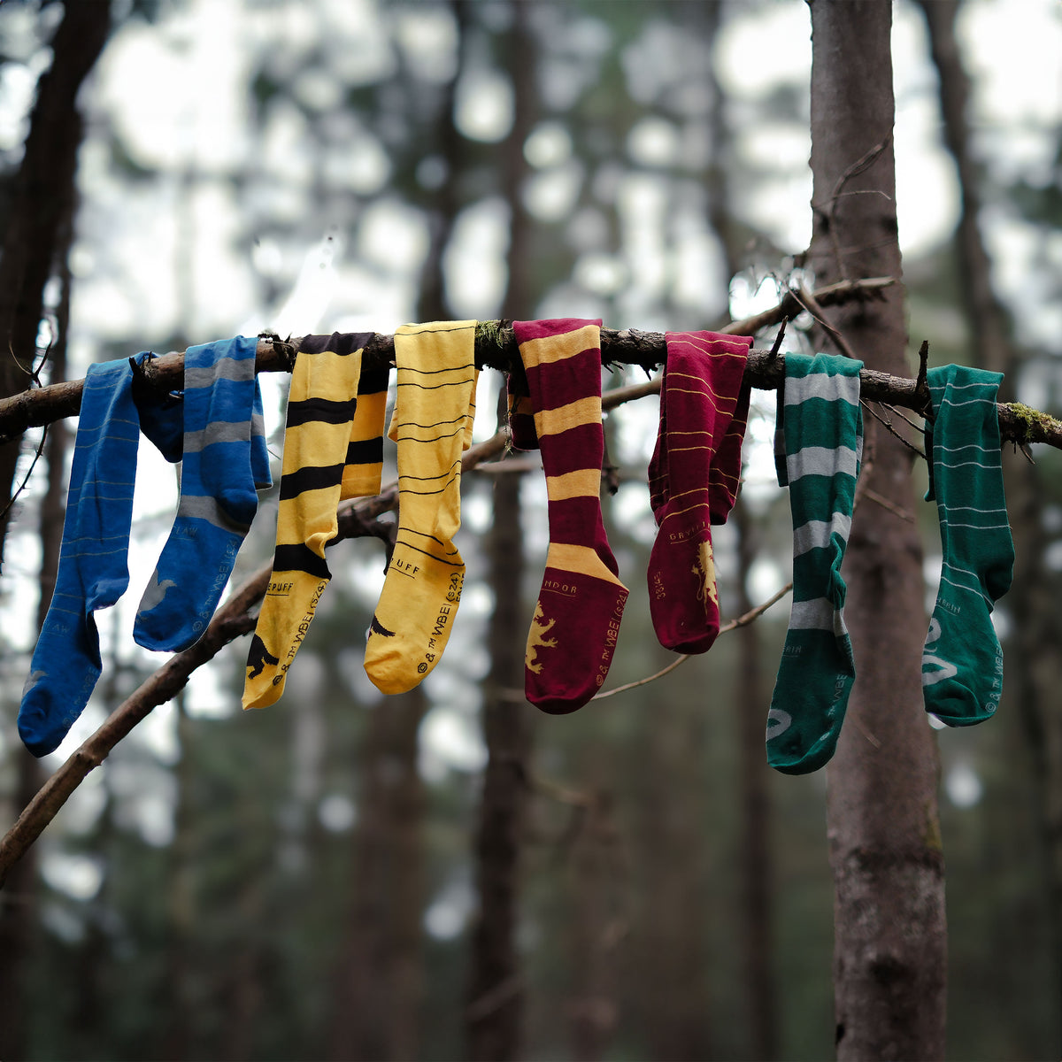 Immagine del prodotto Harry Potter - Calze Alte Serpeverde Set da 2
