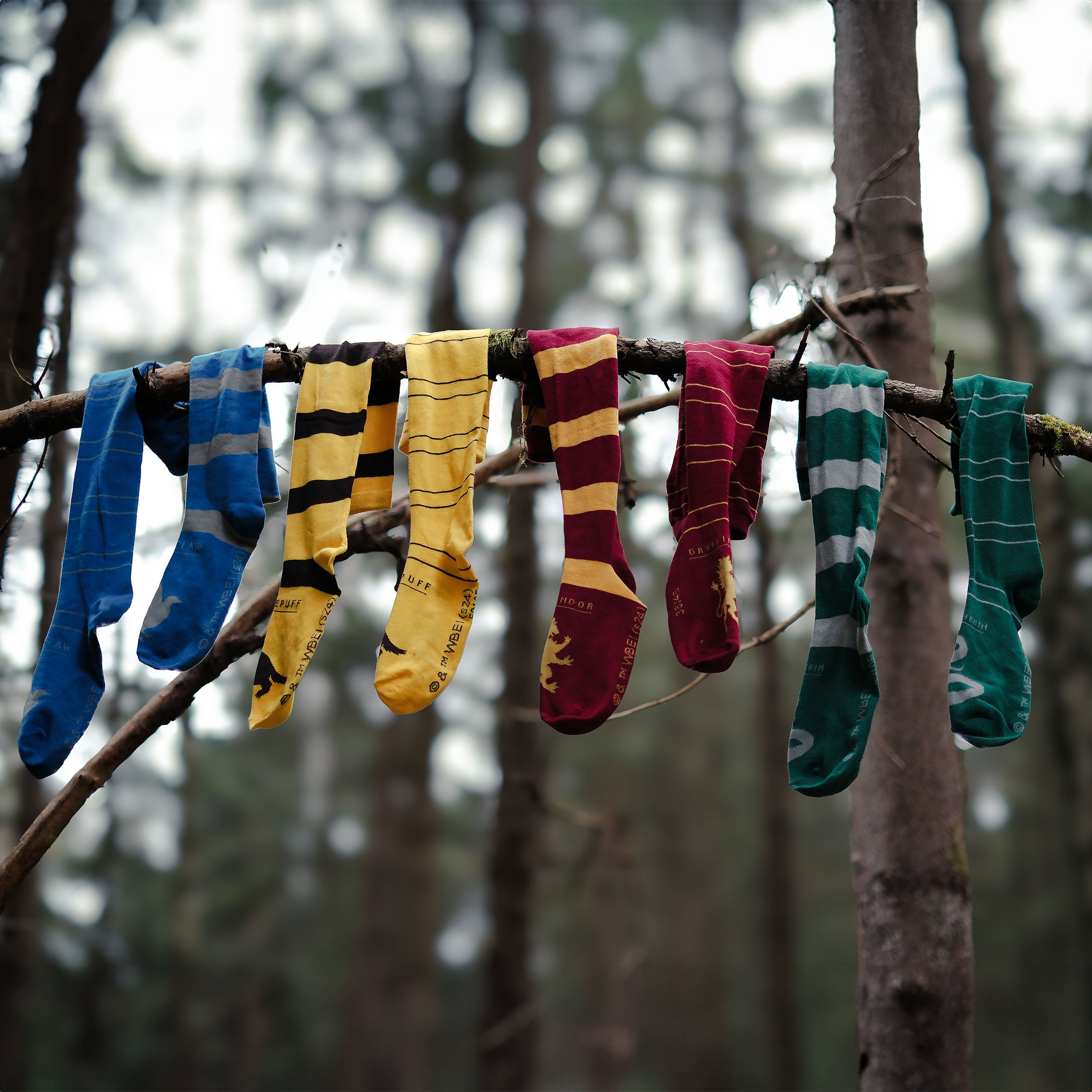 Immagine del prodotto Harry Potter - Calze Alte Corvonero Set da 2